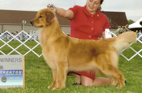 oprah major trenton